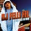 DJ Felli Fel