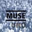 Muse