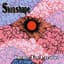 Skinshape