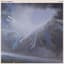 The Cave Singers