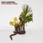 Noah Gundersen