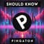Pingaton
