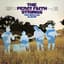The Percy Faith Strings