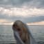 ionnalee