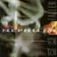 Fields of the Nephilim