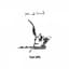 Yoke Lore