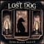 Lost Dog Street Band