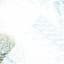 Submerse
