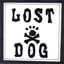 Lost Dog Street Band