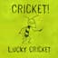 Cricket!