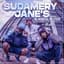 Sudamery Jane's
