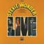 Stevie Wonder