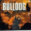 Bulldog