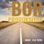 Bor P.