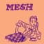 Mesh