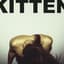 Kitten