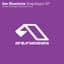 Ilan Bluestone