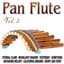 The Instrumental Pan Pipes Band