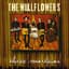 The Wallflowers
