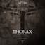 Thorax