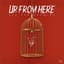 Up from Here
