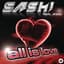 Sash!