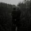Goldmund
