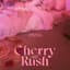 CHERRY BULLET