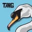 Tang