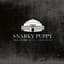 Snarky Puppy