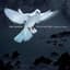 Karl Jenkins