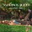 Ray Anderson