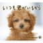 Relaxing Orgel