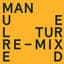 Manuel Tur