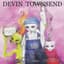 Devin Townsend