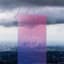LA Washout
