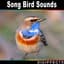 Digiffects Sound Effects Library