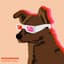Everyday Dogs