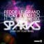Fedde Le Grand