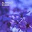 Alfredo Evans