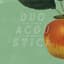 The Apple Moths