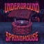 Underground Springhouse