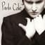 Paula Cole