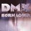 DMX