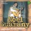 Noel Guarany