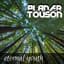 Planer touson