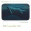 Bill Evans & Jim Hall
