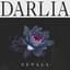 Darlia