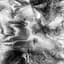corporeal