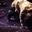 The Juliana Hatfield Three